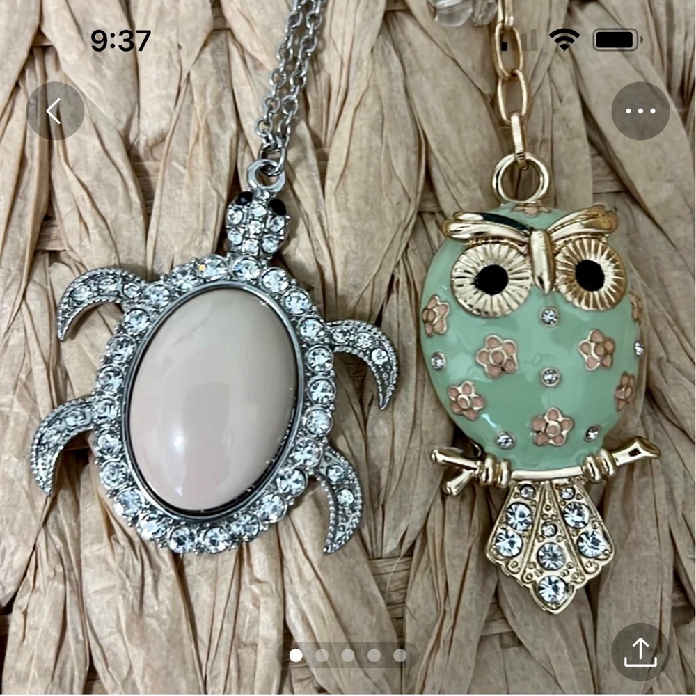 Owl and Turtle Pendant Necklaces SET of 2